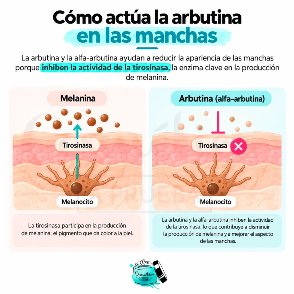 comoactua arbutina manchas piel